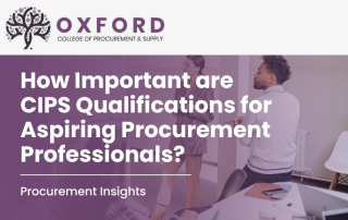 Blog header reads 'How Important are CIPS Qualifications for Aspiring Procurement Professionals?'